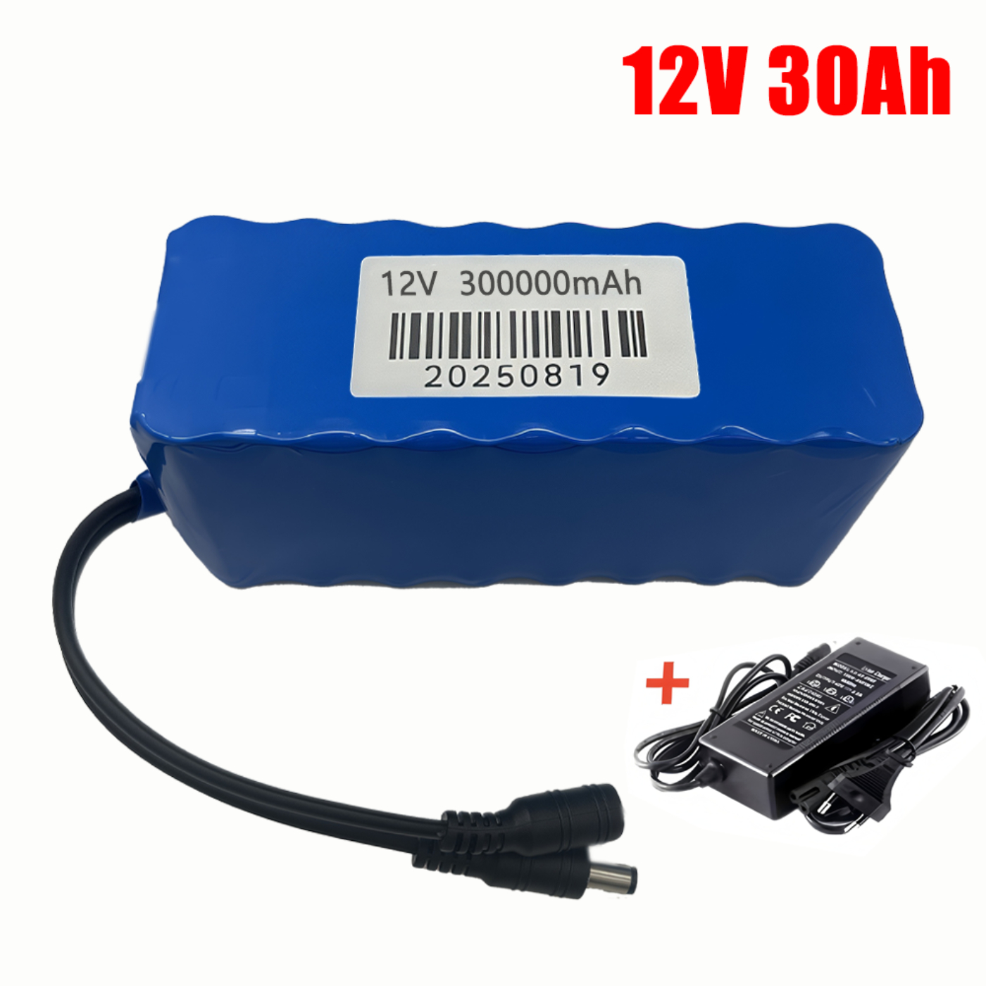 2025 New 12V 30Ah  Lithium Bat - Fish Finder Charger recensione e prezzo