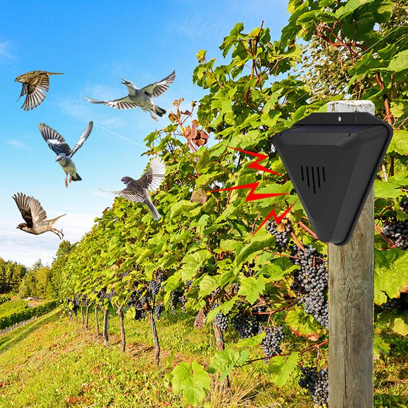Waterproof Solar bird repeller - Fish Alarm recensione e prezzo